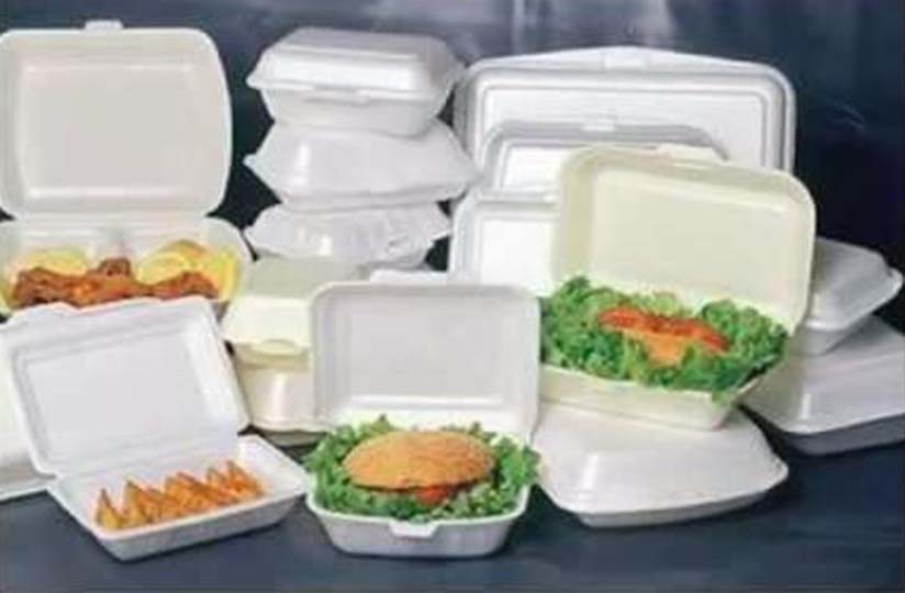 Styro Plates & Pack Lunch Container